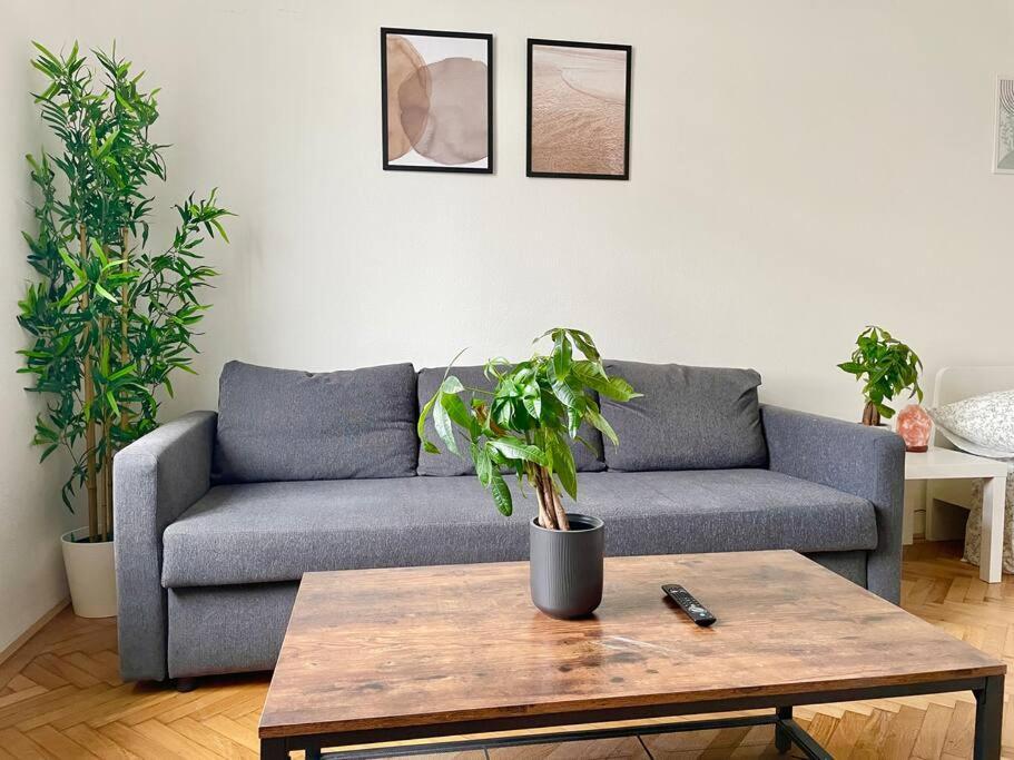 55m2 Stylish With Netflix - 15 Min To Center Appartement Vienne